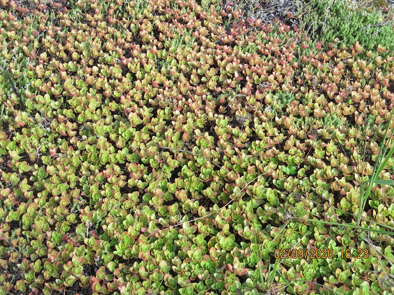 Etusivun kuva 3 isona