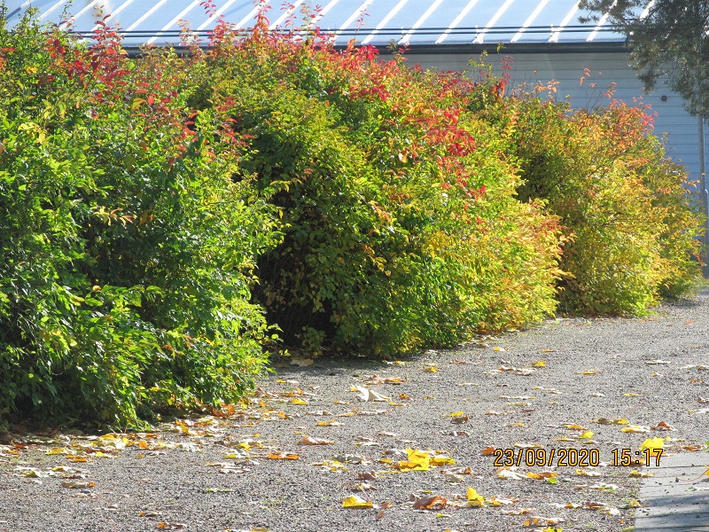 Etusivun kuva 1 isona